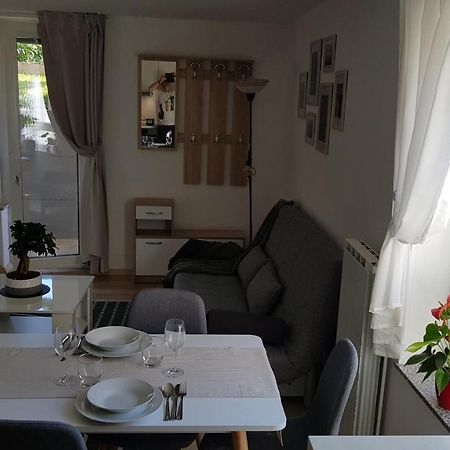 Apartmán Koradinovi - Pod Vrtom Vipava Exteriér fotografie