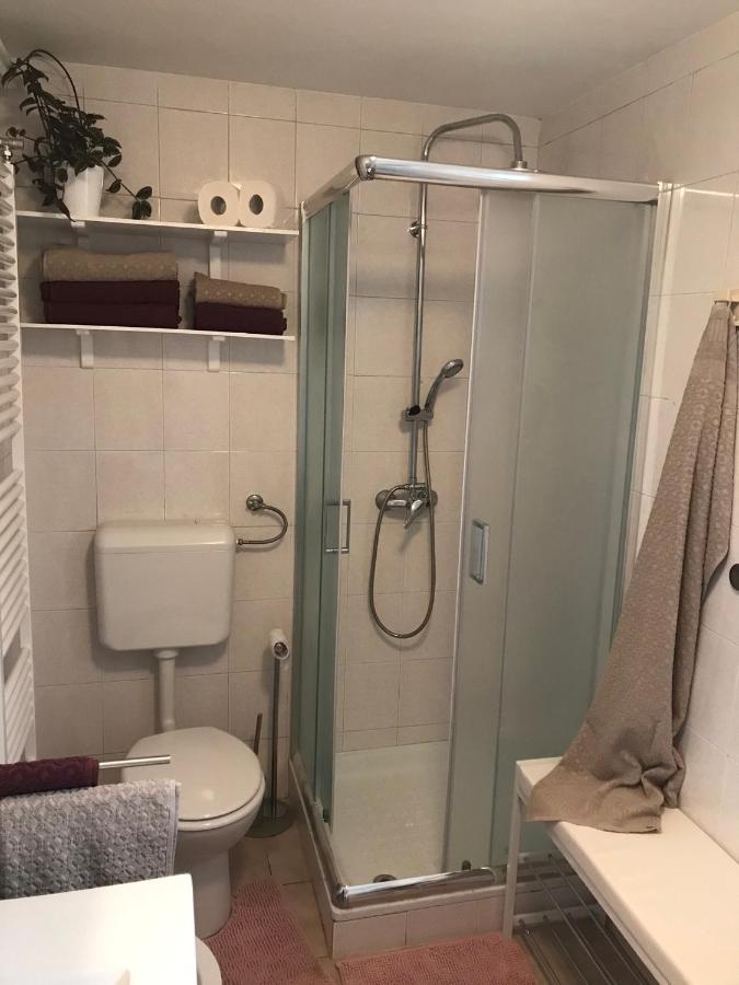Apartmán Koradinovi - Pod Vrtom Vipava Exteriér fotografie