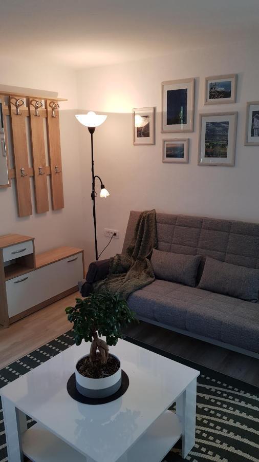 Apartmán Koradinovi - Pod Vrtom Vipava Exteriér fotografie